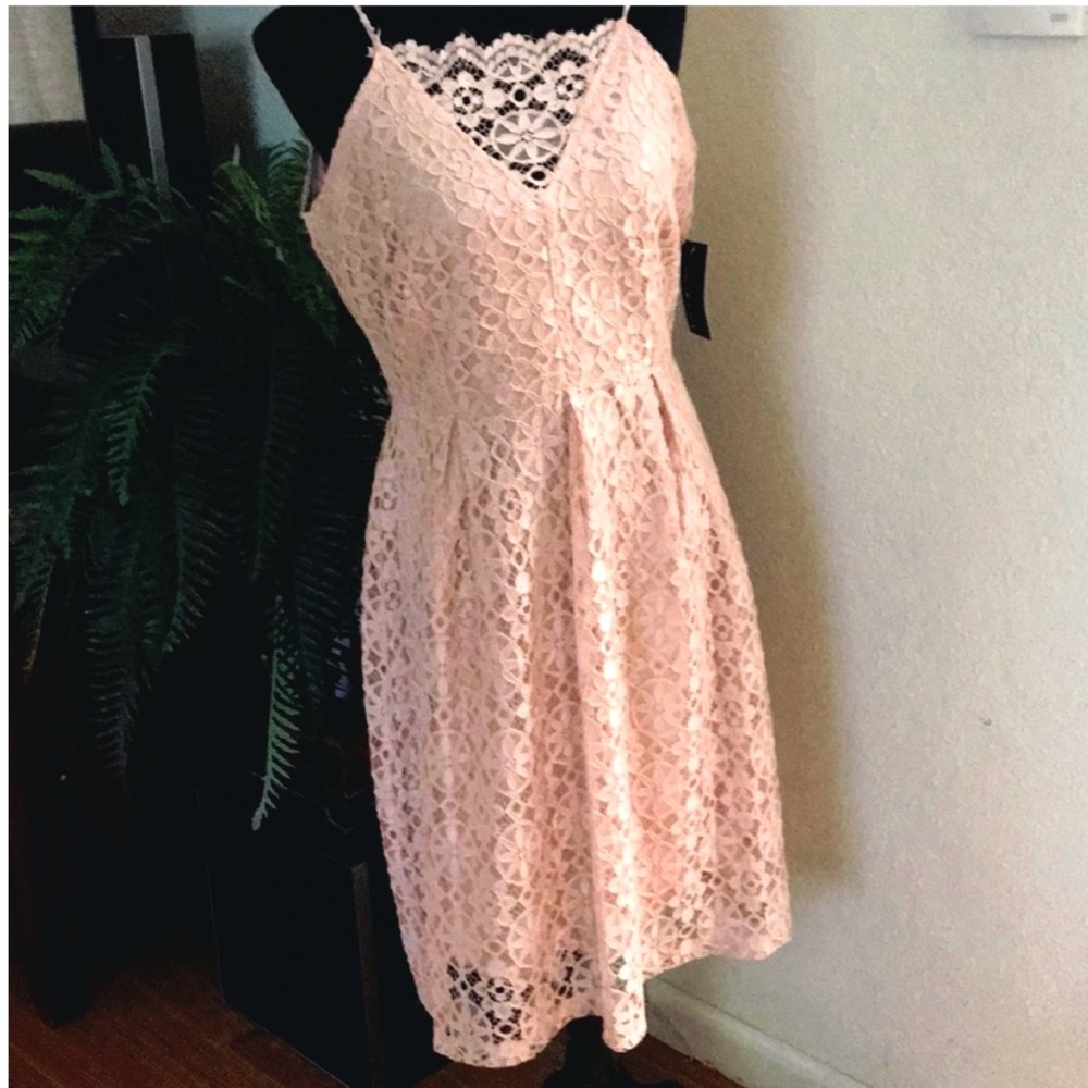 En Focus Studio | Lace Fit & Flare Dress